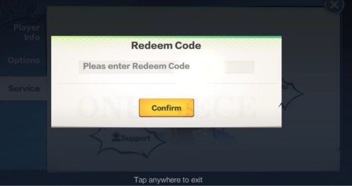 steps to redeem codes in the New World Vigour Voyage