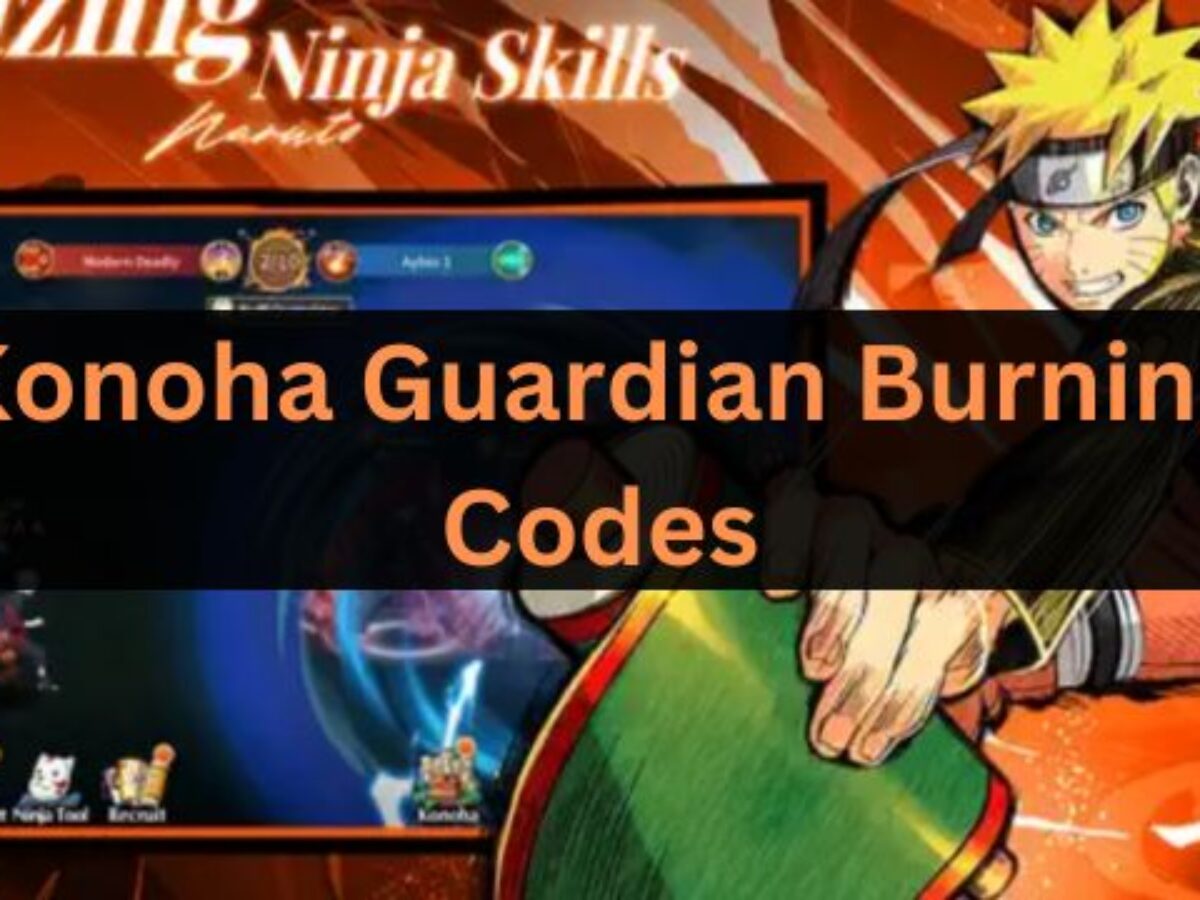 Budo Universe Warriors Codes for December 2023 - Clashiverse