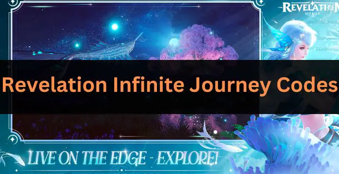 Revelation Infinite Journey Codes