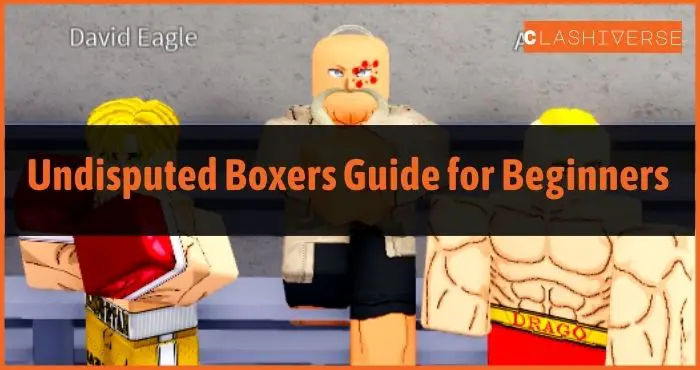 Undisputed Boxers Guide for Beginners