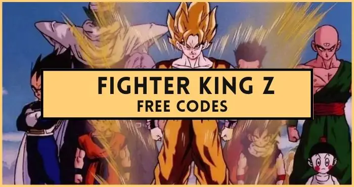 Fighter King Z codes