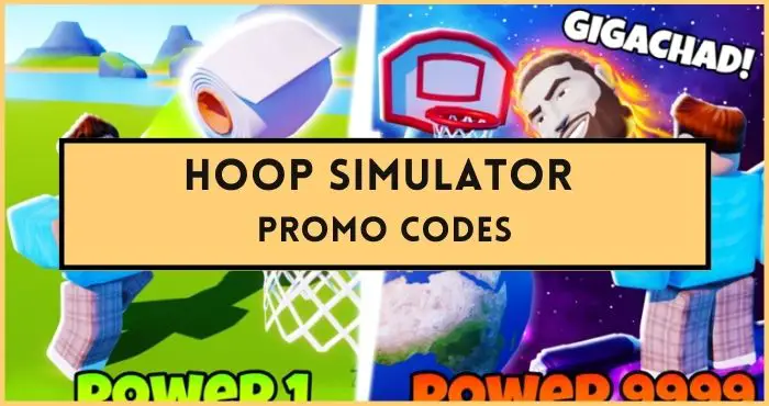 Hoop Simulator Codes