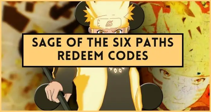 Sage Of The Six Paths codes list