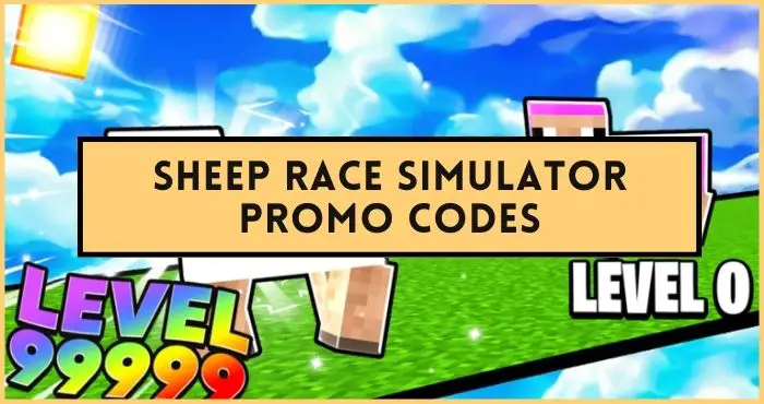 Sheep Race Simulator codes