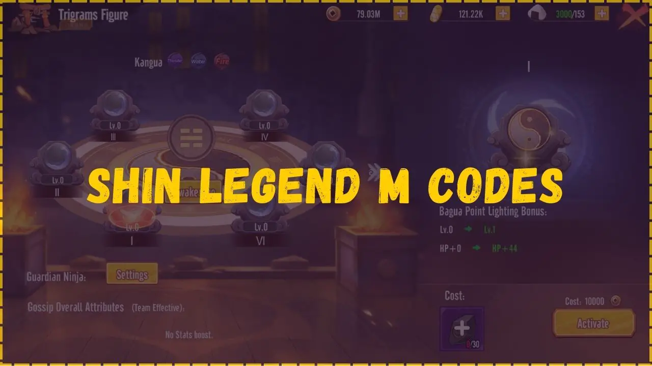 Shin Legend M Codes
