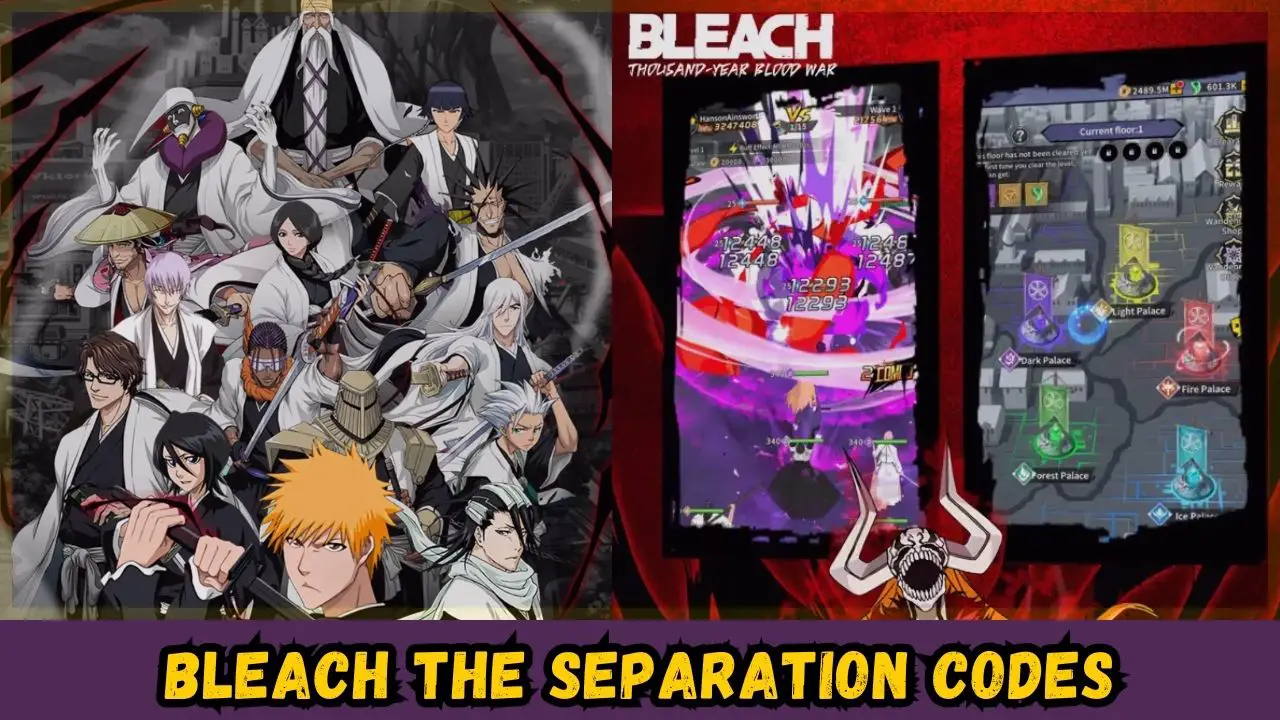 Bleach The Separation Codes