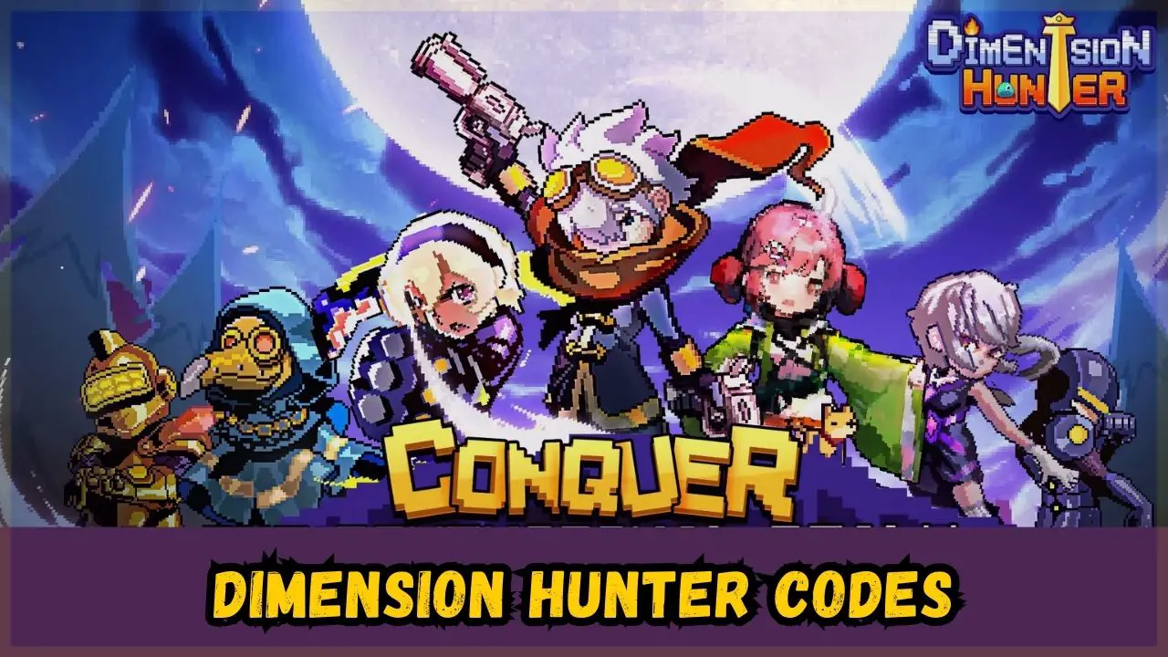 Dimension Hunter codes