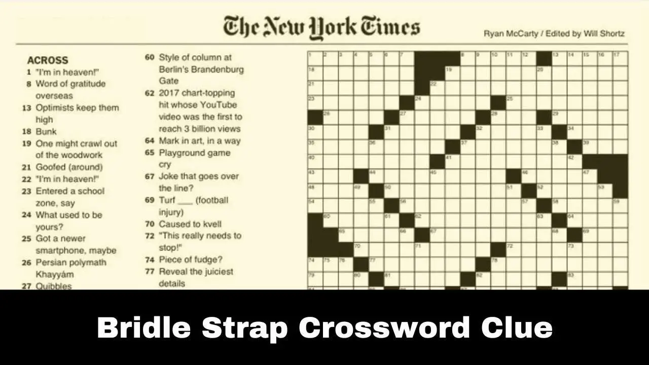 Bridle Strap crossword clue
