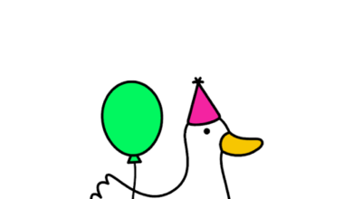 List of All Archer Quack Codes-updated