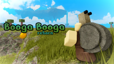List of All Booga Booga Codes-updated