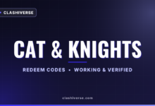 List of All Cat & Knights Codes-updated
