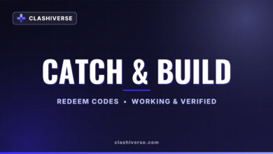 Catch & Build codes