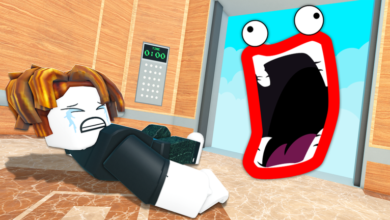 List of All Elevator of Fun Codes-updated