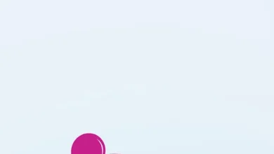 List of All Go Go Muffin Codes-updated