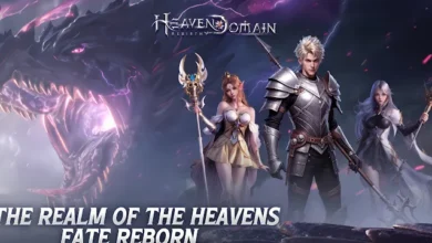 List of All Heaven Domain Rebirth Codes-updated