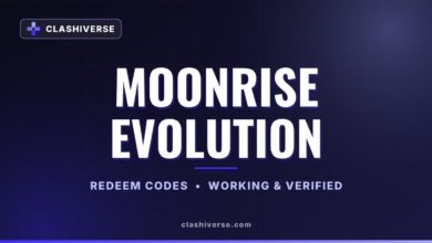 Moonrise Evolution codes