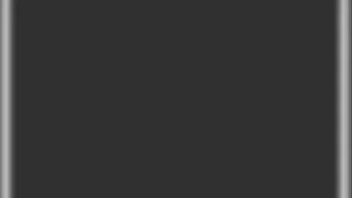 List of All Pocket: Evolution Frontiers Codes-updated