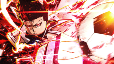 List of All Project Egoist Codes-updated