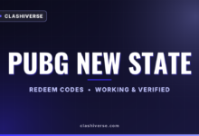 List of All PUBG New State Codes-updated