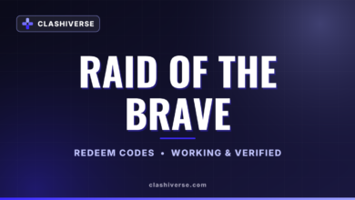 Raid of the Brave codes
