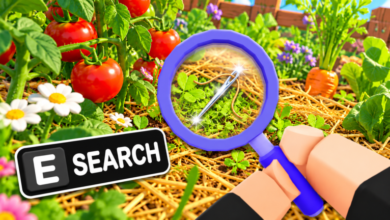 List of All Search For The Needle Codes-updated