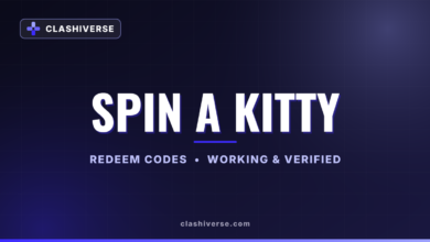 Spin a Kitty codes