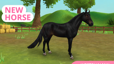 List of All Star Stable Codes-updated