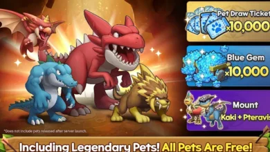 List of All StoneAge Pet World Codes-updated