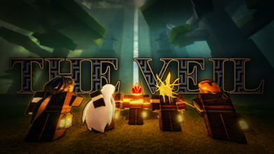 List of All The Veil Codes-updated