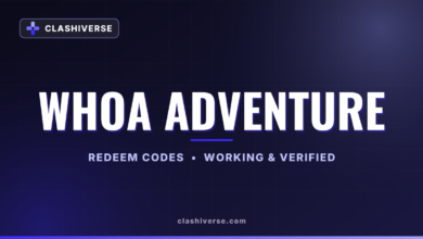 Whoa Adventure codes