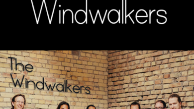 List of All Wind Walker Codes-updated