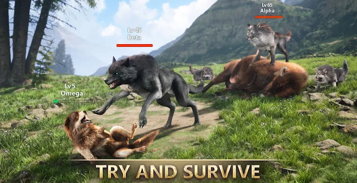 List of All Wolf Game Codes-updated